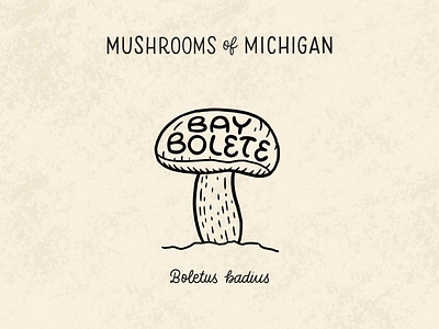 Bay Bolete Mushroom