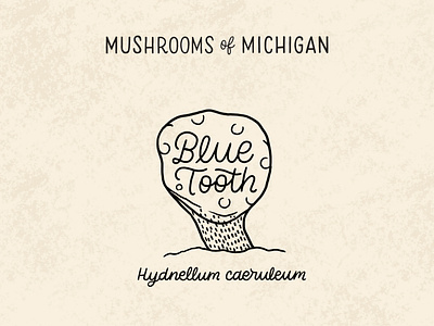 Blue Tooth Mushroom black and white blue blue tooth forage foraging hand drawn hand lettering identify illustration illustrative lettering lettering michigan monoline script mushroom mushrooms natural nature script spots typography