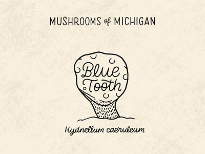 Blue Tooth Mushroom