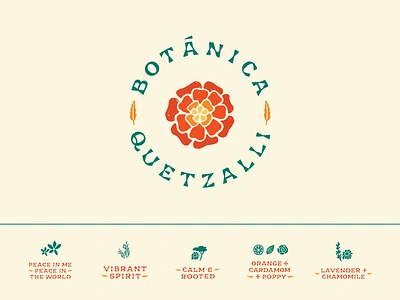 Botanica Quetzalli branding chamomile feather floral hand drawn hand lettering herbal illustration indigenous lavender lettering logo marigold mexican organic poppy rosemary tincture typography yarrow