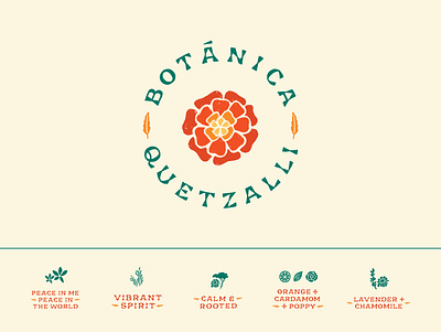 Botanica Quetzalli branding chamomile feather floral hand drawn hand lettering herbal illustration indigenous lavender lettering logo marigold mexican organic poppy rosemary tincture typography yarrow
