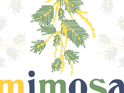 Mimosa flowers gold green illustration mimosa nature spring