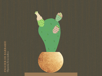 Figuier de Barbarie botanical cactus drawing gold illustration noise plant texture