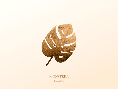 Tropical Leaf : Monstera gold illustration leaf monstera nature texture tropical