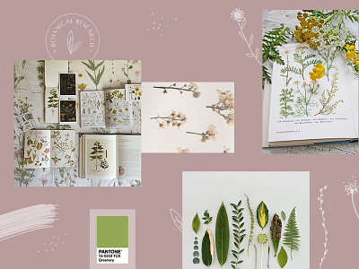 Moodboard #2 : Botanical Research botanical branding flowers illustration moodboard nature pantone pink