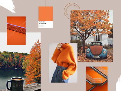 Moodboard #3 : Oranges of Fall branding inspiration moodboard nature orange pantone