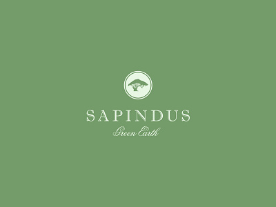 Sapindus botanical branding ecology flowers green logo nature typography