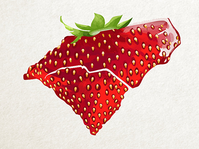 Carolina Strawberry nc sc strawberry