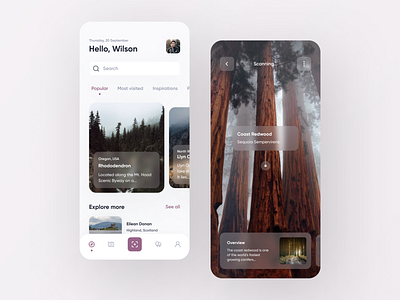 Forest Tree App