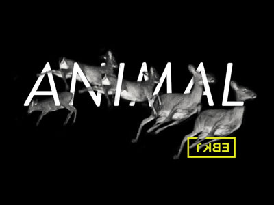 Animal animal black tkbe