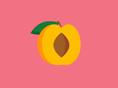 Apricot apricot fruit illustration leaf