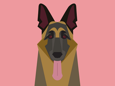 German Shepard