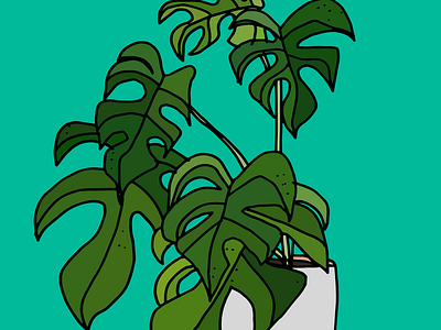 House Plants