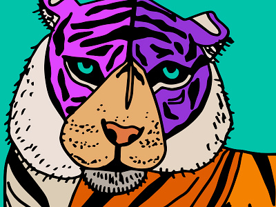Tiger animal hand drawn illustration illustrator stripes tiger wildlife