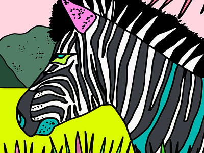 Zebra hand drawn illustration stripes wildlife zebra