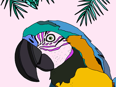 Parrot beak bird bird illustration leaves parrot
