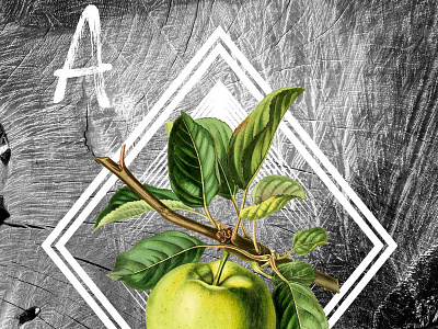 November Free Art @ JoemDesign.com apple digital art free wood