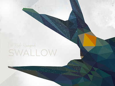 1804 Swallow Final Crop digital art free wall art graphic design illustrator photoshop