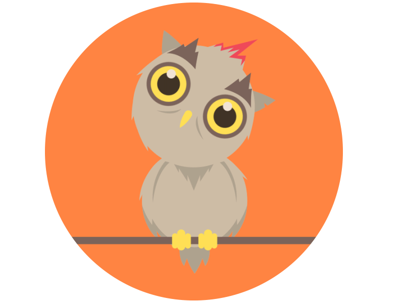 Hello, Dribbble! animation debut first post hello owl