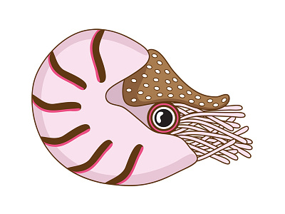 Nautilus animal cute flat illustration illustrator nautilus sea vector