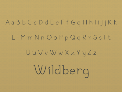 Wildberg ballpoint face font serif typography
