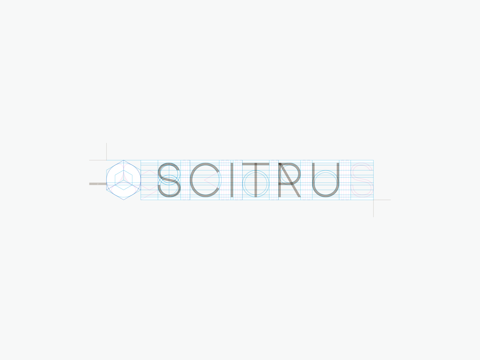 Scitrus brand branding color design icon identity logo typography