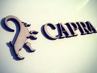 Laser cut logo