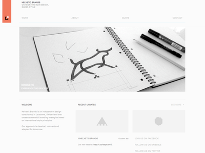 Our New Website brand branding brands helvetic helveticbrands icon identity logo logo design webdesign website