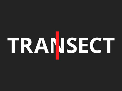 Transect Magazine Logo id logo logotype magazine wordmark