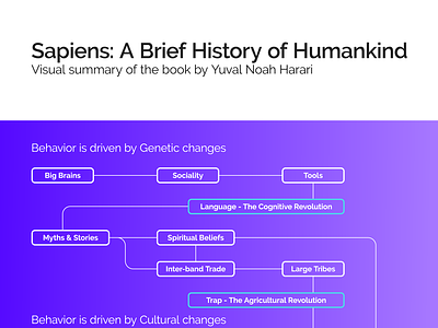 Sapiens: A Brief History of Humankind flowchart history infographic japan sapiens tokyo visualization