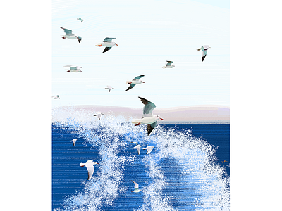 sea-gull illustration illustrator ocean sea seagull