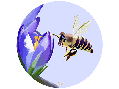 honeybee bee honey illustration illustrator