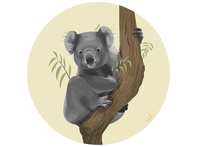 koala illustration illustrator koala