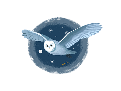 owl illustration illustrator owl