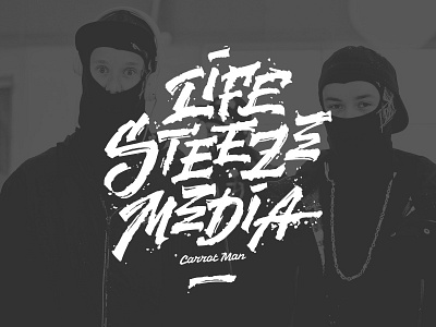 Life Steeze Media calligraphy clothing colapen lettering logo lsm newschool print script ski tegging type