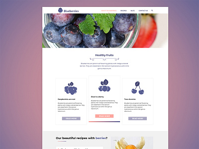 Blueberries Landing page blueberries dailyui fruits icons landing page user interface design