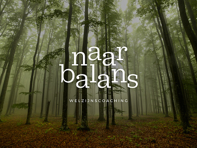 Naar balans logo