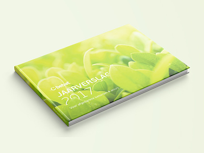Cover jaarboek Bebat book cover design graphic design graphics
