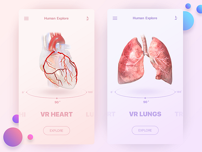 VR Anatomic Application app application concept design interface ios iphone medecine medical product ui