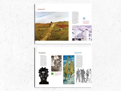 Art Museum Brochure brochure design print redesign typography