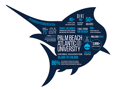 PBA Sailfish Die Cut diecut infographic typography