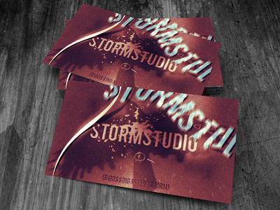 Stormstudio Business Cards art business cards corporate design product presentation