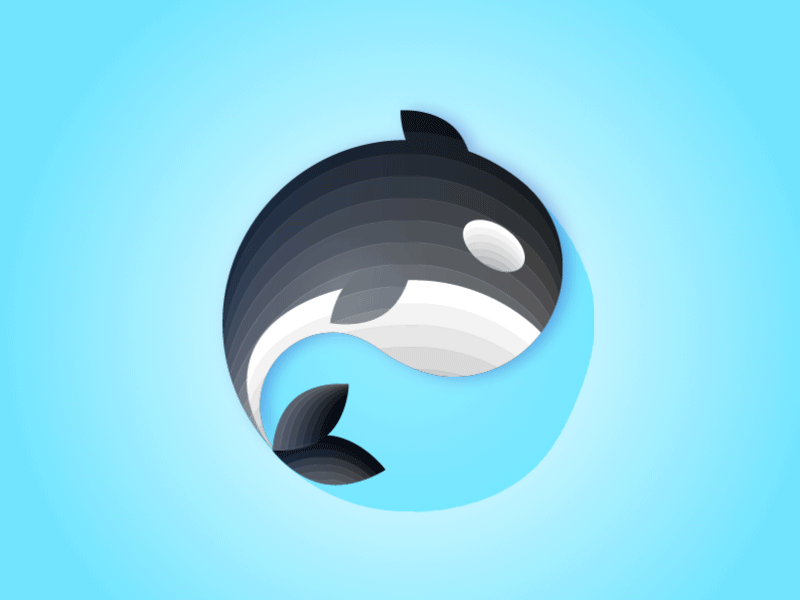Whale adobe adobe aftereffects adobe illustrator design gif illustration vector whale
