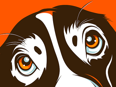 Basset Hound! animal basset character cover dog hound illustration mascot pet