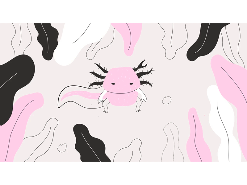 Axolotl by Valeria Salazar on Dribbble