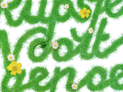 Grass Typography flower grass illustration lettering nature typography