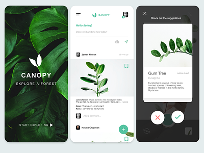 Canopy - Explore a forest app branding design earth plant plants trees ui uidesign web webdesign website