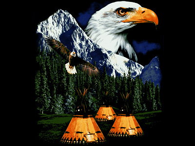 Eagle Design