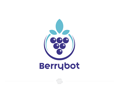 BerryBoat