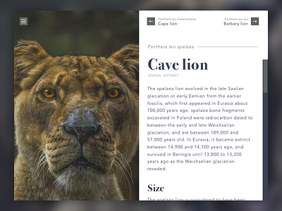 Extinction board animal cats extinct fossil layout lion navigation ui website